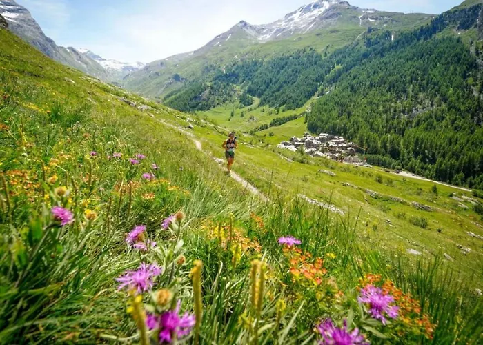 Balme 2 - Haven And Mont Blanc View